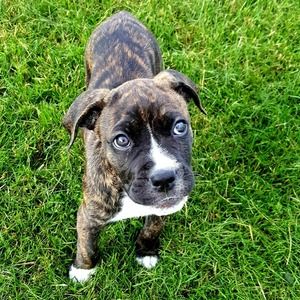 Meet your Posher, Mae